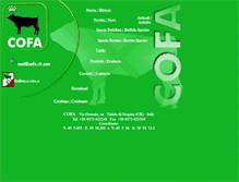 Tablet Screenshot of cofa-it.com